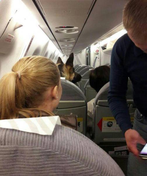 Morning Picdump