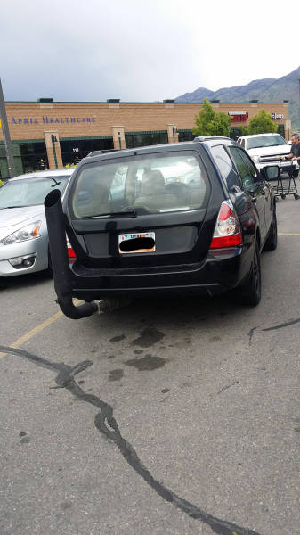 morning picdump 50 pics 22.html - 50 HD Photos | Premium Gallery 2016