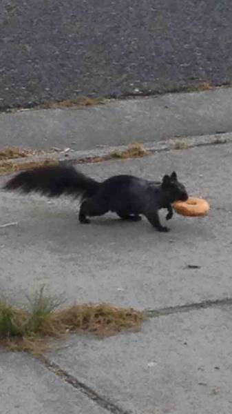 morning picdump 50 pics 22.html - 50 HD Photos | Premium Gallery 2016