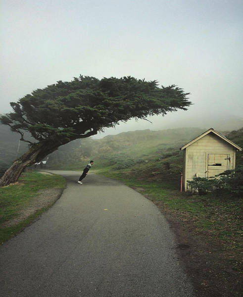 morning picdump 50 pics 22.html - 50 HD Photos | Premium Gallery 2016