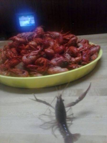 Morning Picdump