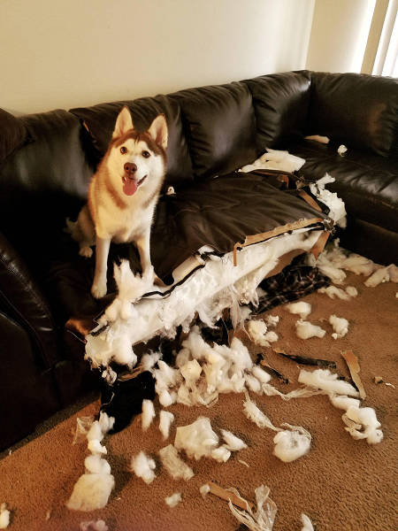morning picdump 51 pics 20.html - 51 HD Photos | Premium Gallery 2016