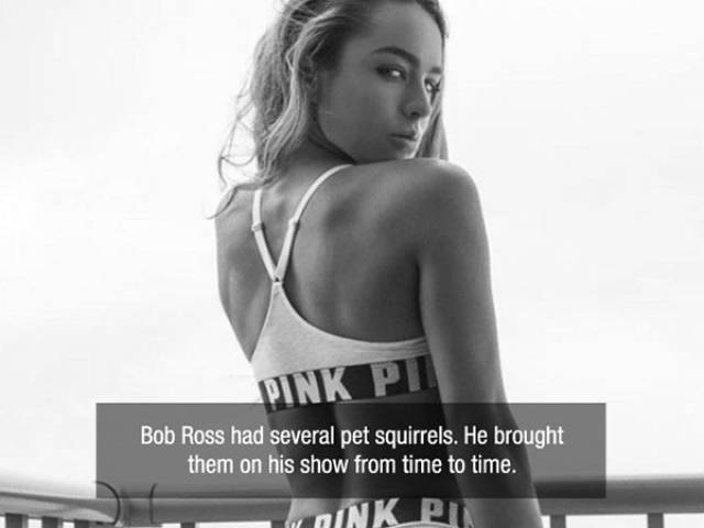 Facts are Best Served with Hot Girls