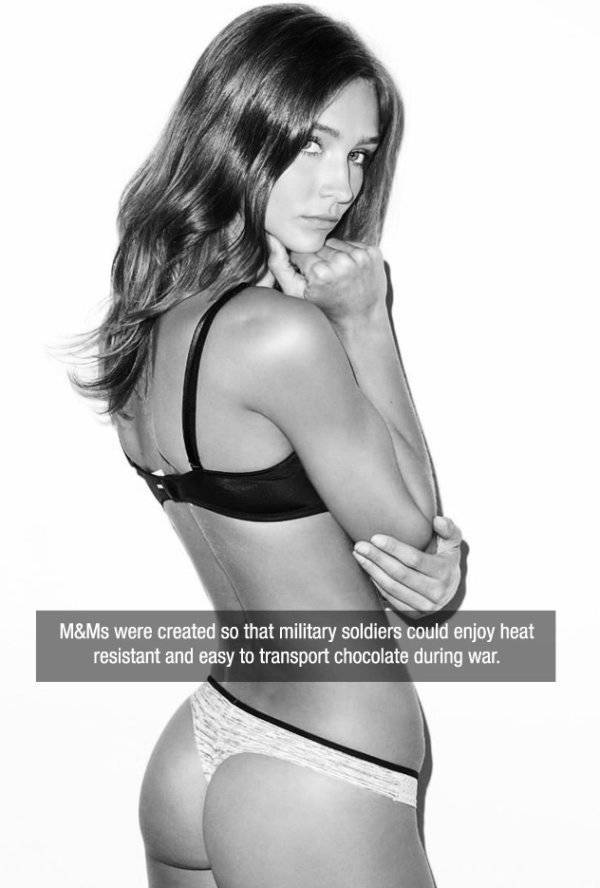 Facts are Best Served with Hot Girls