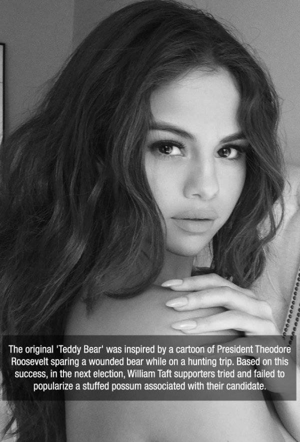 Facts are Best Served with Hot Girls