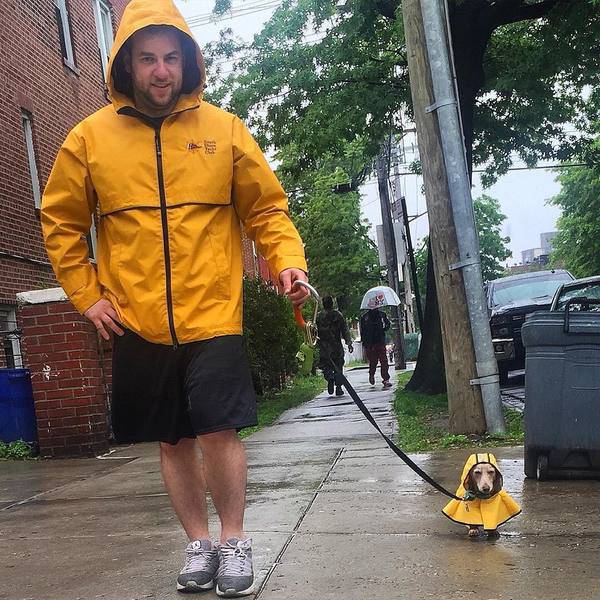 Morning Picdump