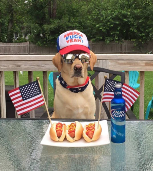 morning picdump 56 pics 2.html - 56 HD Photos | Premium Gallery 2016