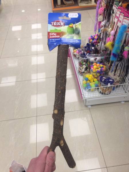 Morning Picdump