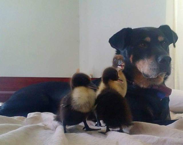 Morning Picdump