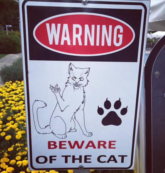 morning picdump 51 pics 22.html - 51 HD Photos | Premium Gallery 2016