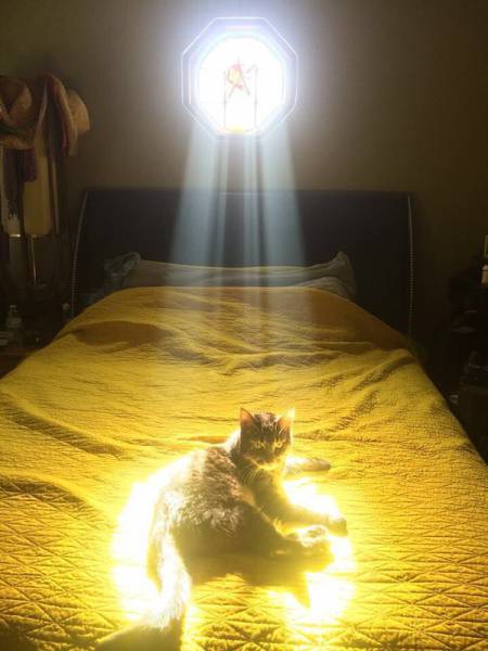 morning picdump 51 pics 22.html - 51 HD Photos | Premium Gallery 2016