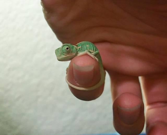 morning picdump 51 pics 22.html - 51 HD Photos | Premium Gallery 2016