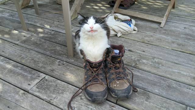 morning picdump 50 pics 5.html - 50 HD Photos | Premium Gallery 2016