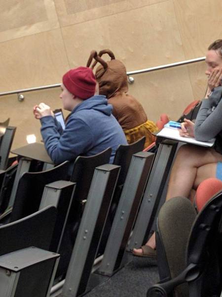 morning picdump 50 pics 5.html - 50 HD Photos | Premium Gallery 2016