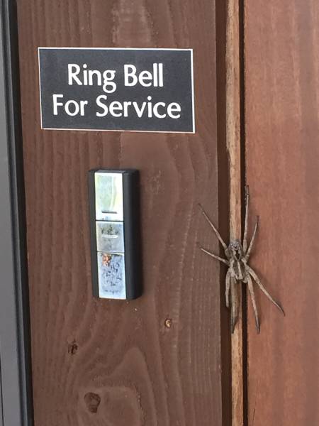 morning picdump 50 pics 5.html - 50 HD Photos | Premium Gallery 2016