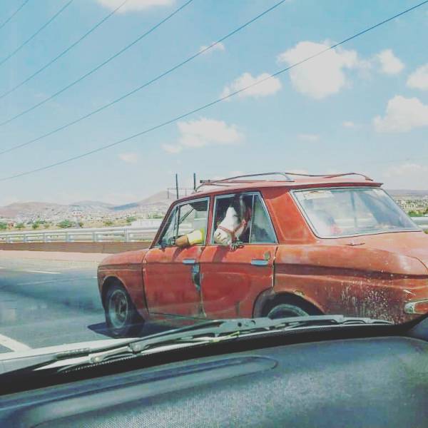 morning picdump 50 pics 5.html - 50 HD Photos | Premium Gallery 2016