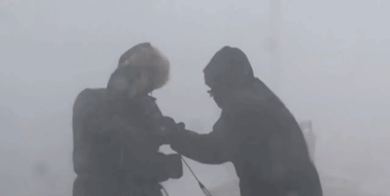 Compilation Of The Best Live News Bloopers In Gifs