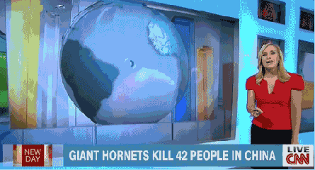 Compilation Of The Best Live News Bloopers In Gifs