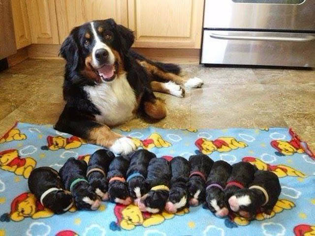 morning picdump 52 pics 21.html - 52 HD Photos | Premium Gallery 2016