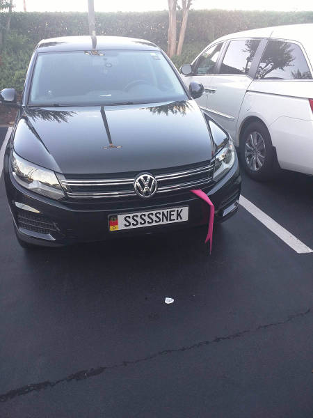 morning picdump 50 pics 2.html - 50 HD Photos | Premium Gallery 2016