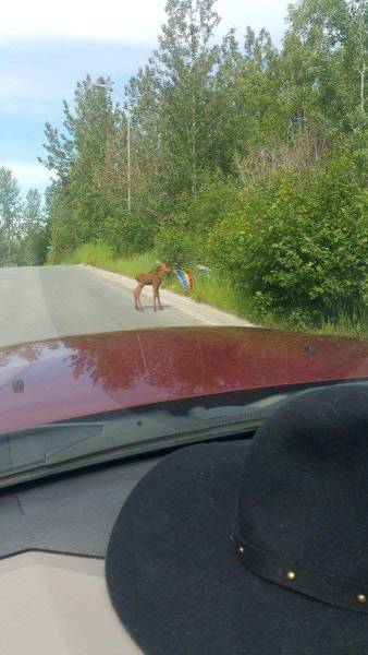 morning picdump 58 pics 9.html - 58 HD Photos | Premium Gallery 2016