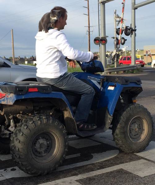 morning picdump 58 pics 9.html - 58 HD Photos | Premium Gallery 2016