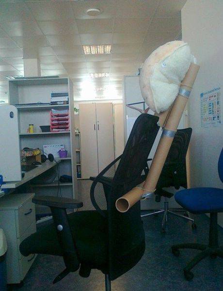 Morning Picdump