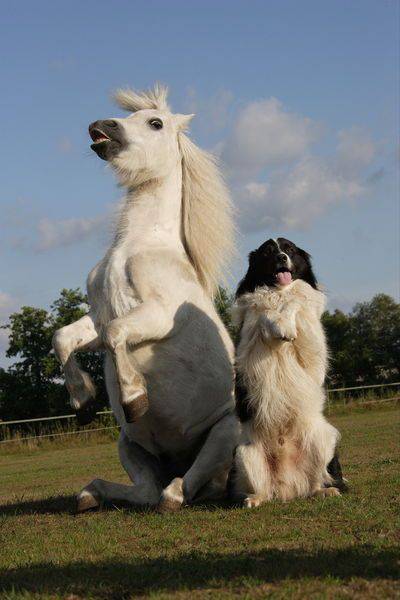 Morning Picdump