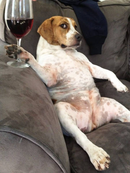 morning picdump 52 pics 21.html - 52 HD Photos | Premium Gallery 2016