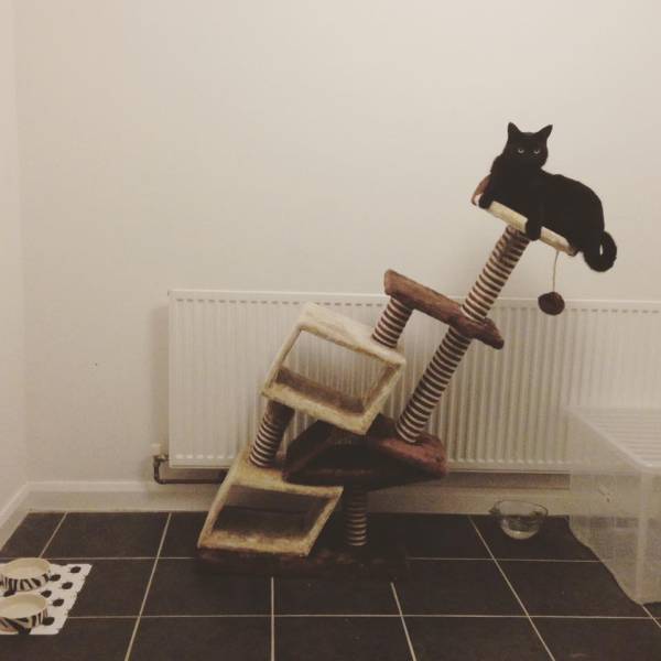 morning picdump 52 pics 21.html - 52 HD Photos | Premium Gallery 2016