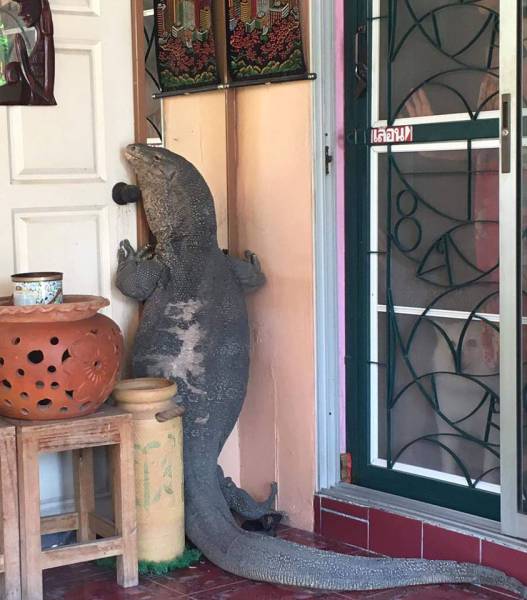 morning picdump 52 pics 21.html - 52 HD Photos | Premium Gallery 2016