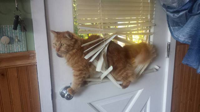 morning picdump 52 pics 21.html - 52 HD Photos | Premium Gallery 2016