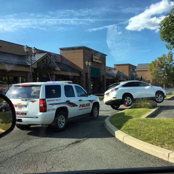 morning picdump 50 pics 15.html - 50 HD Photos | Premium Gallery 2016