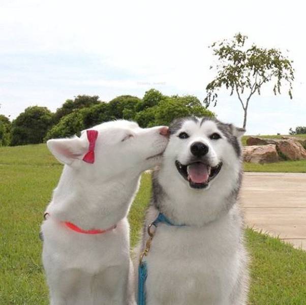 morning picdump 50 pics 22.html - 50 HD Photos | Premium Gallery 2016