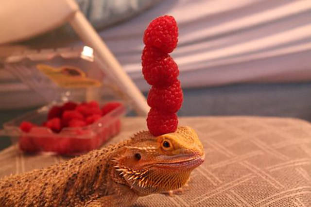 morning picdump 50 pics 22.html - 50 HD Photos | Premium Gallery 2016