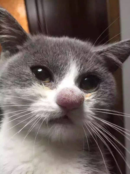 morning picdump 50 pics 16.html - 50 HD Photos | Premium Gallery 2016