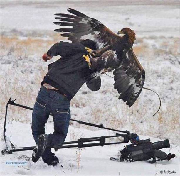 There’s Nothing Better Than Perfectly Timed Photos