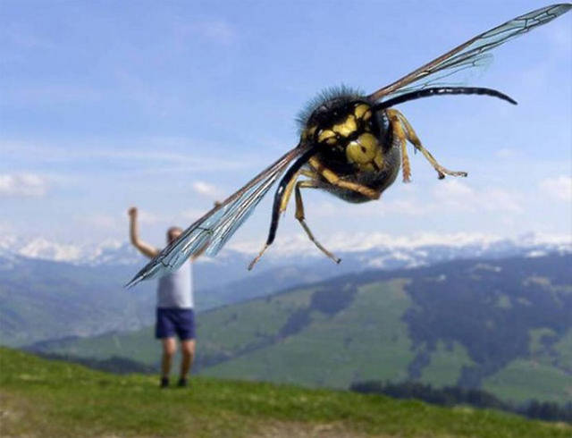 There’s Nothing Better Than Perfectly Timed Photos