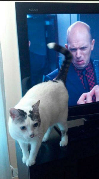 There’s Nothing Better Than Perfectly Timed Photos