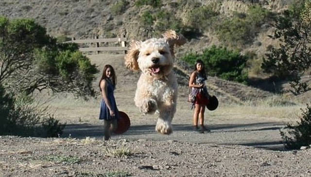 There’s Nothing Better Than Perfectly Timed Photos