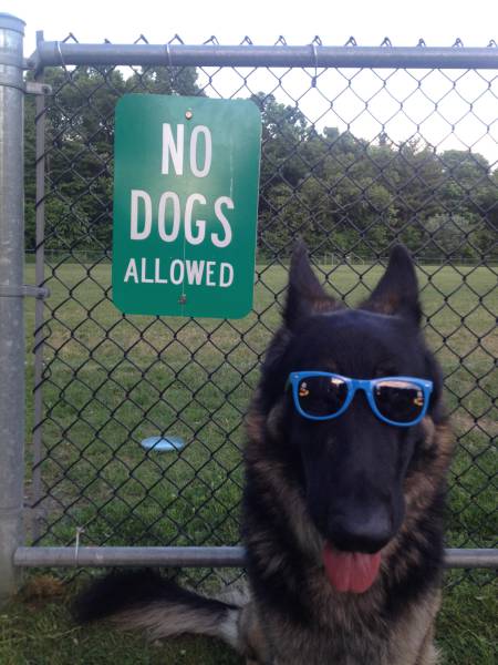 Morning Picdump