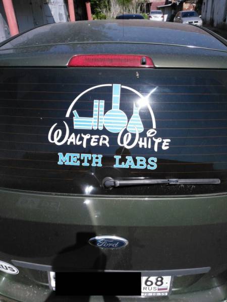 Morning Picdump