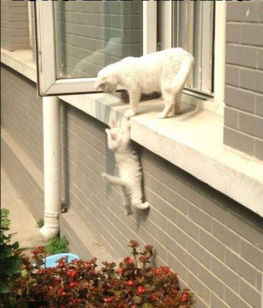 morning picdump 50 pics 22.html - 50 HD Photos | Premium Gallery 2016