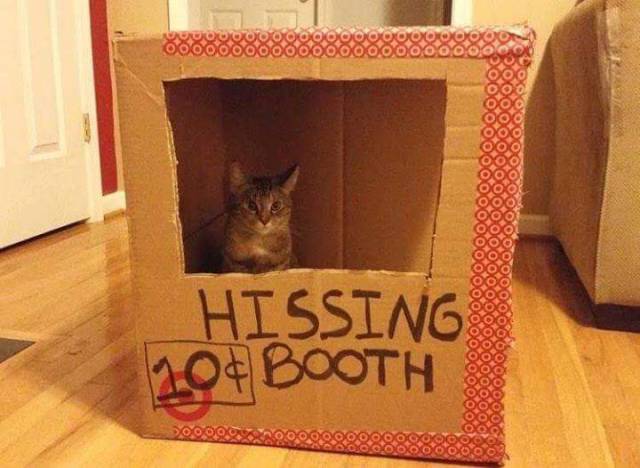 morning picdump 50 pics 22.html - 50 HD Photos | Premium Gallery 2016