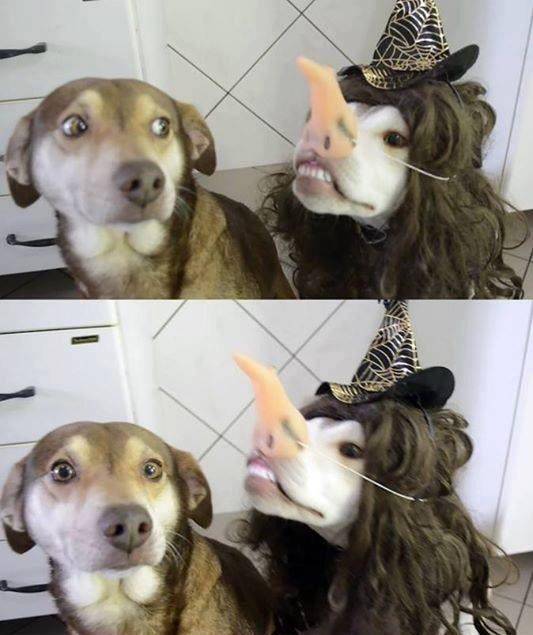 morning picdump 50 pics 22.html - 50 HD Photos | Premium Gallery 2016
