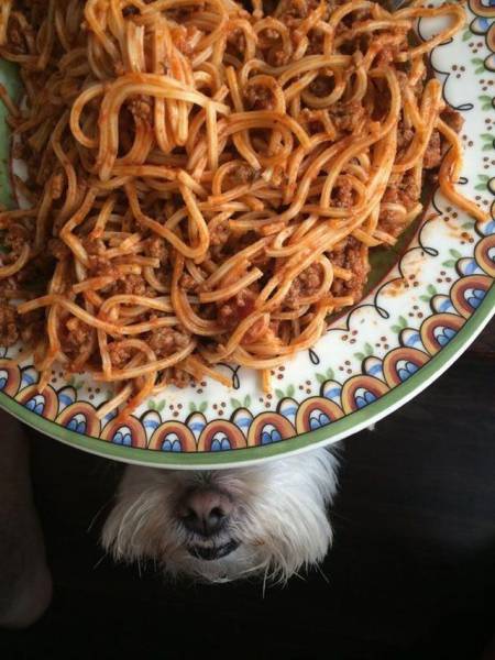 daily picdump 101 pics 40.html - 101 HD Photos | Premium Gallery 2016