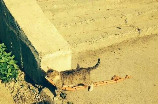 daily picdump 108 pics 48.html - 108 HD Photos | Premium Gallery 2016