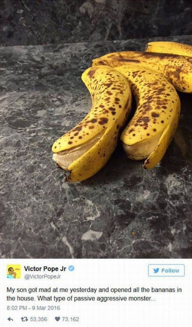 daily picdump 108 pics 48.html - 108 HD Photos | Premium Gallery 2016