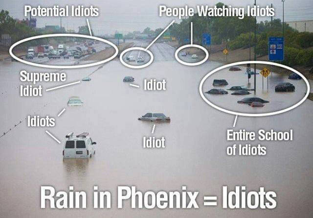 Memes to Amuse Your Tired Mind