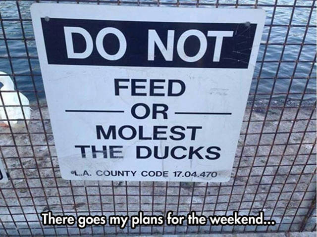 Memes to Amuse Your Tired Mind